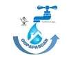 OOAPASR - Organismo Operador Paramunicipal de Agua Potable, Alcantarillado y Saneamiento Descentralizado del Ayuntamiento de Rayón, S.L.P.